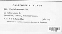 Puccinia coronata image